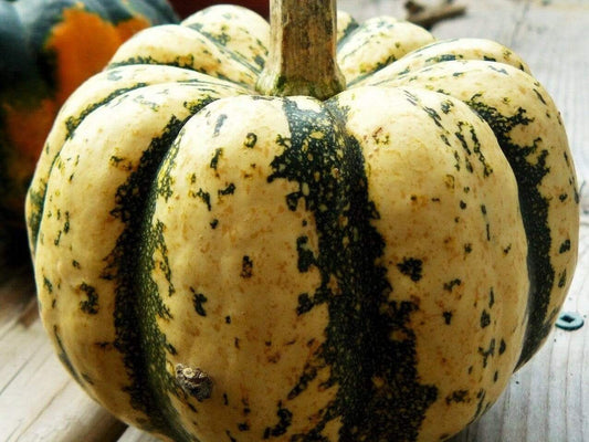 Pumpkin, Sweet Dumpling - LifeForce Seeds