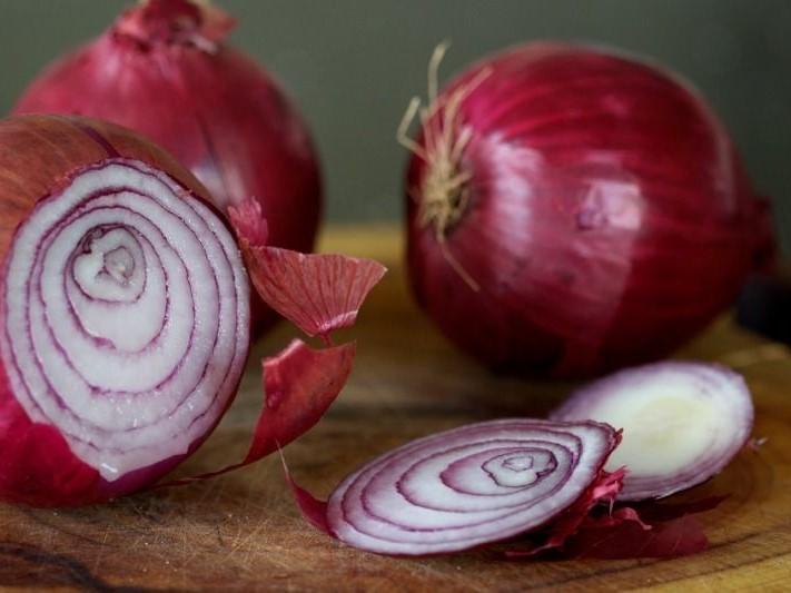 Onion Red Burgundy - LifeForce Seeds