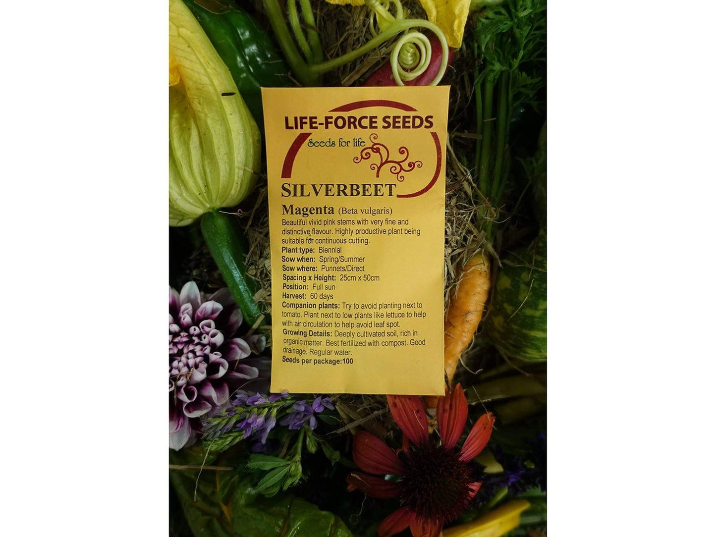 Silverbeet/ Swiss Chard Magenta - LifeForce Seeds