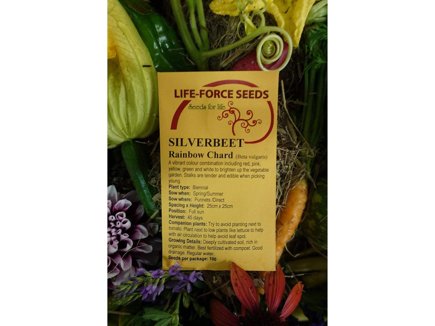 Silverbeet/ Swiss Chard Rainbow Colour - LifeForce Seeds
