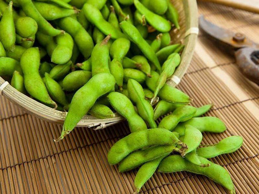 Bean Soy Edamame - LifeForce Seeds