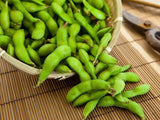 Bean Soy Edamame - LifeForce Seeds