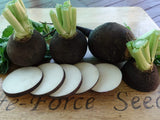 Radish, Black Spanish Round - LifeForce Seeds