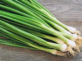 Spring Onion White Lisbon - LifeForce Seeds