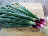 Spring Onion, Red - LifeForce Seeds