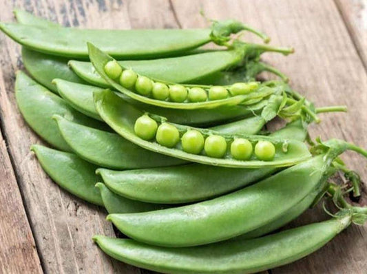 Pea, Sugar Snap Sugar Bon - LifeForce Seeds
