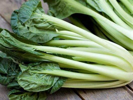 Tatsoi, Green - LifeForce Seeds