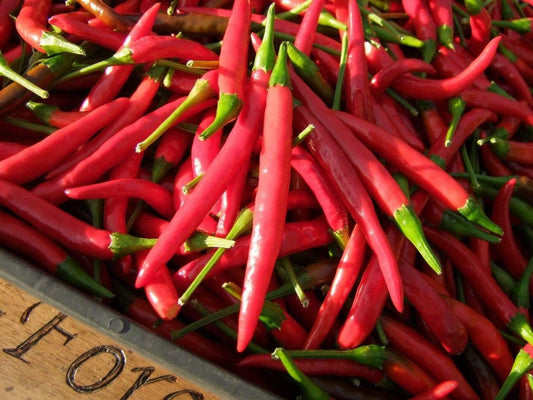 Chilli, Thai Hot - LifeForce Seeds