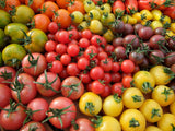 Tomato, Rainbow Mix - LifeForce Seeds