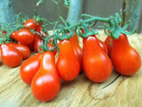 Tomato, Red Fig - LifeForce Seeds