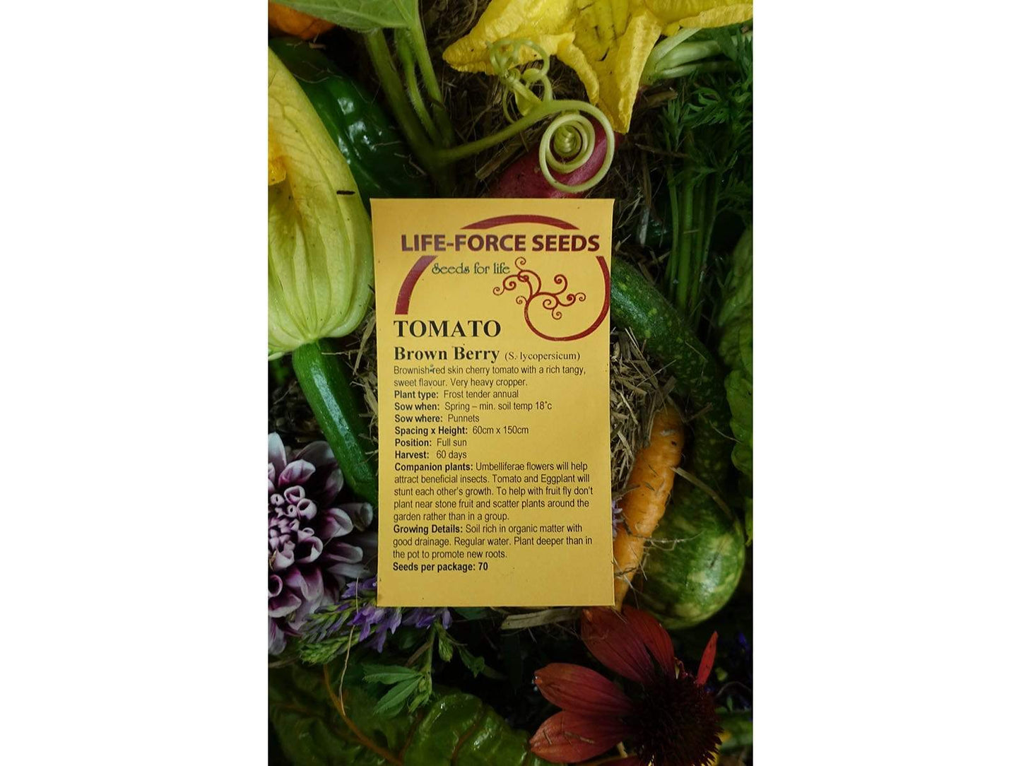 Tomato, Brown Berry - LifeForce Seeds
