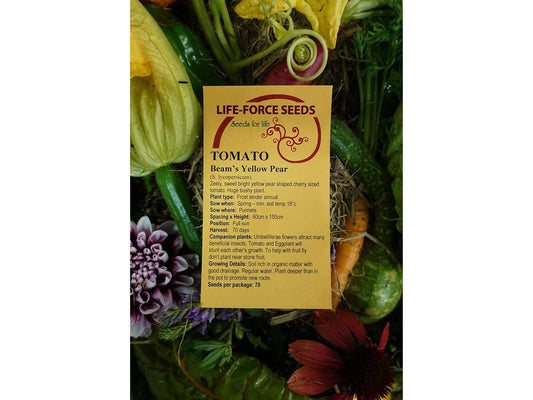 Tomato, Beam`s Yellow Pear - LifeForce Seeds