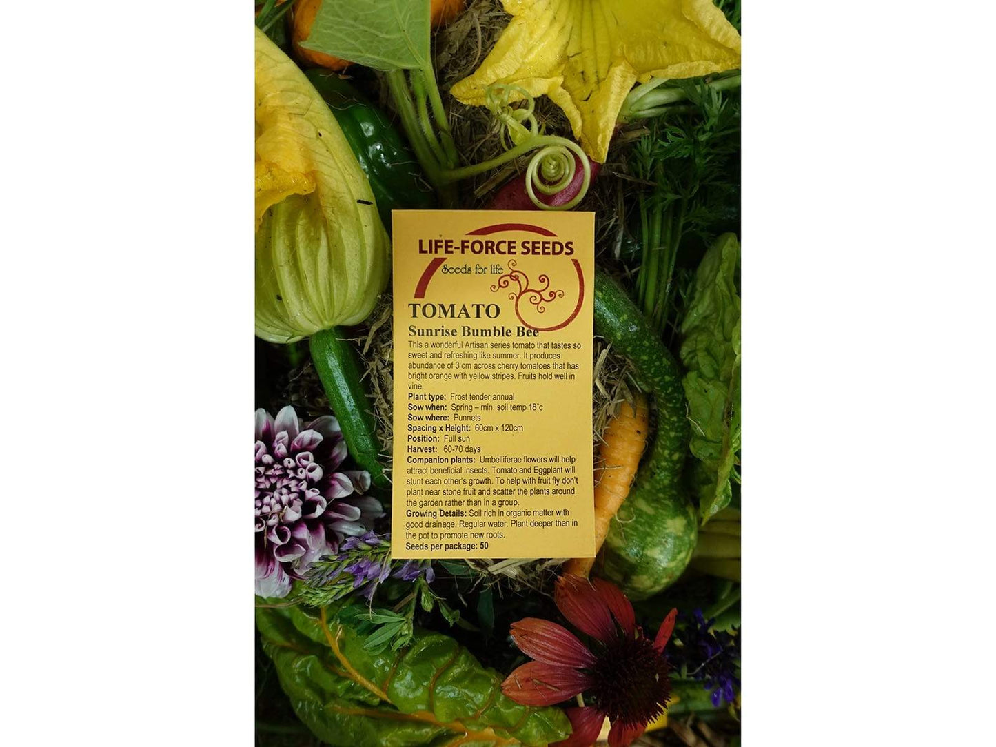 Tomato, Sunrise Bumble Bee - LifeForce Seeds