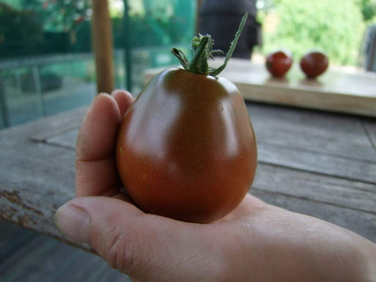 Tomato, Japanese Black Trifele - LifeForce Seeds