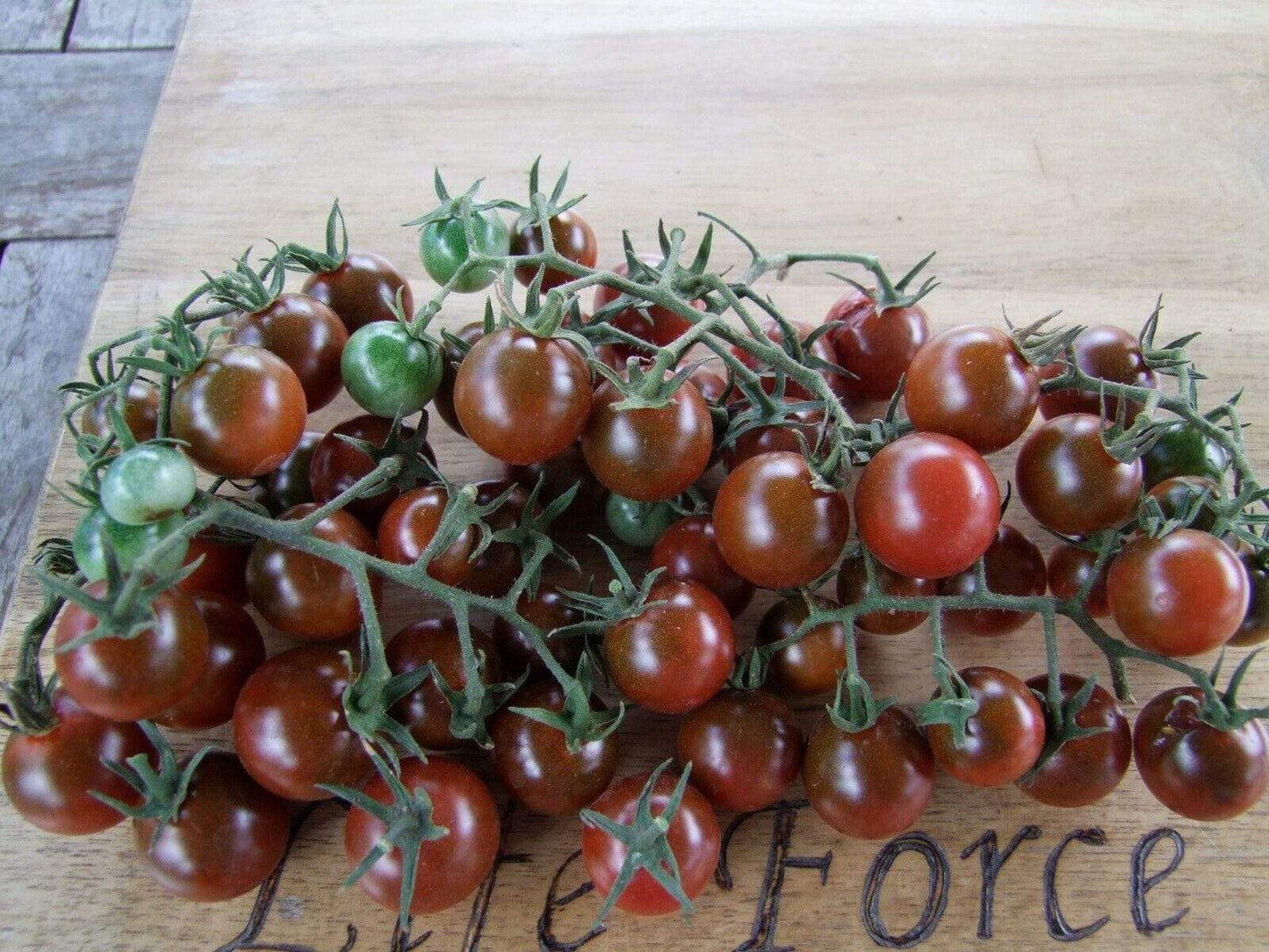Tomato, Brown Berry - LifeForce Seeds