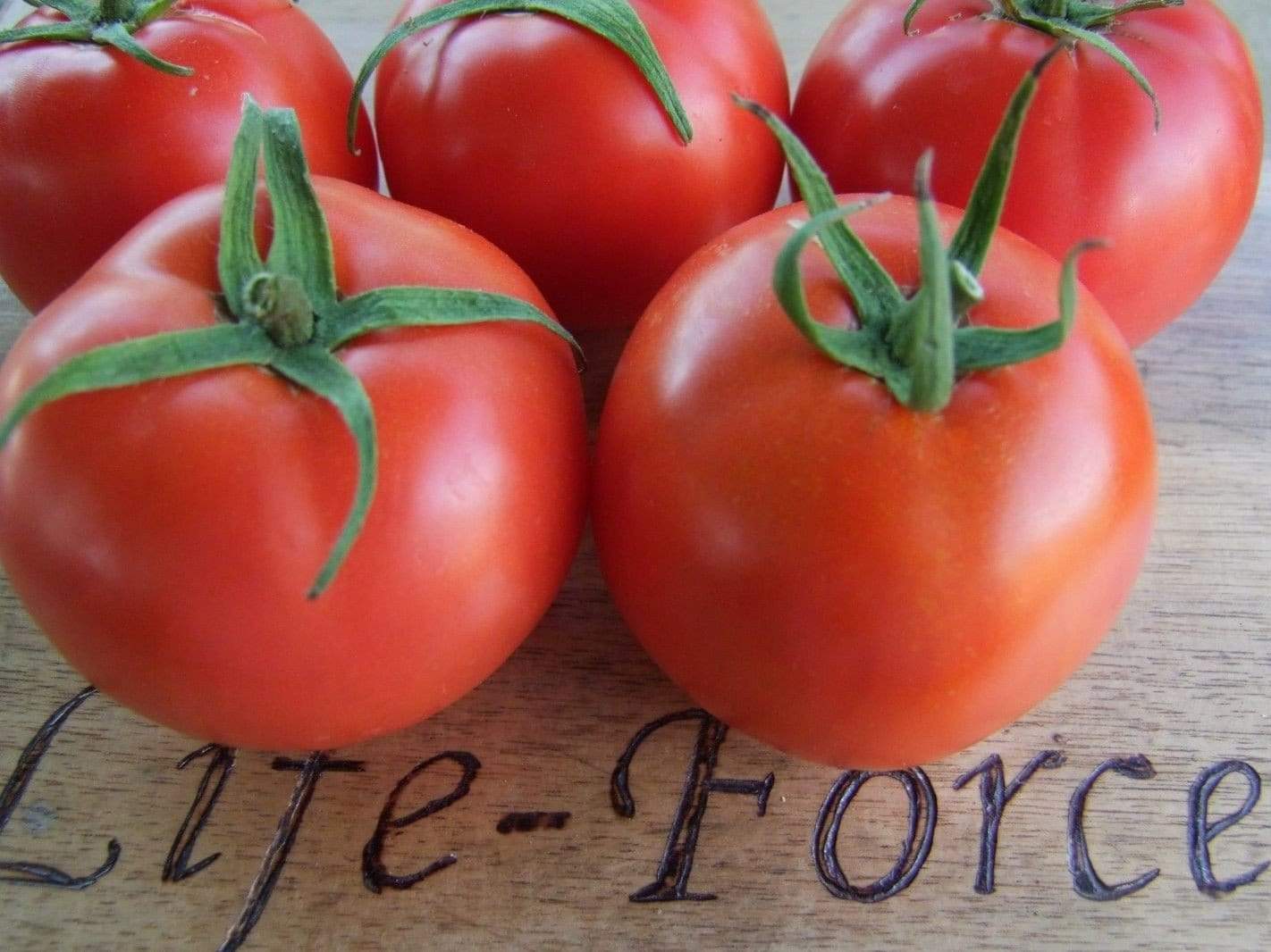 Tomato Rouge De Marmande Tray