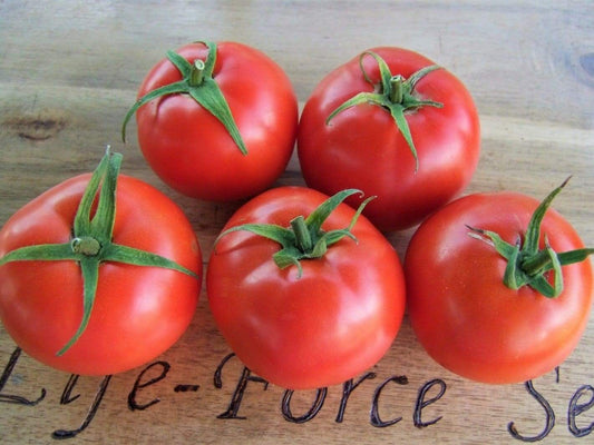 Tomato, Grosse Lisse - LifeForce Seeds