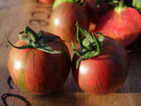 Tomato, Purple Bumble Bee - LifeForce Seeds