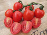 Tomato, Valentine - LifeForce Seeds