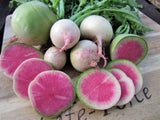 Radish, Watermelon - LifeForce Seeds
