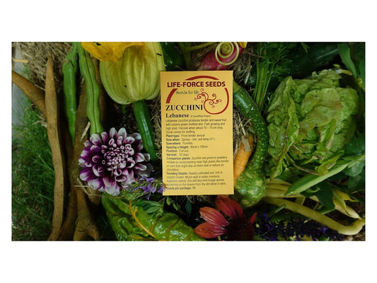 Zucchini, Lebanese - LifeForce Seeds