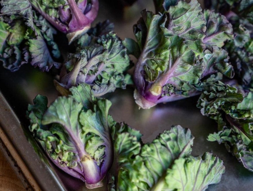 Kalettes, Petit Posy - LifeForce Seeds