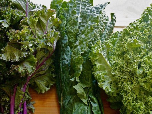 Kale, Heirloom Trio Mix - LifeForce Seeds