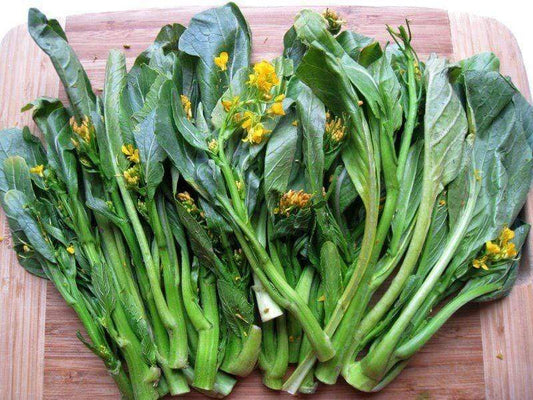 Choy Sum, Slow Bolt - LifeForce Seeds