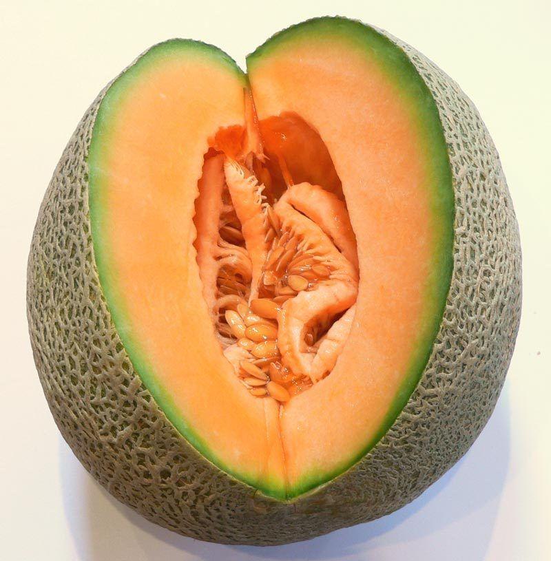 Rockmelon, Hearts of gold - LifeForce Seeds