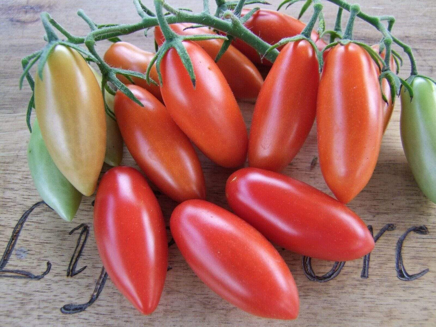 Tomato, Mini Amish - LifeForce Seeds