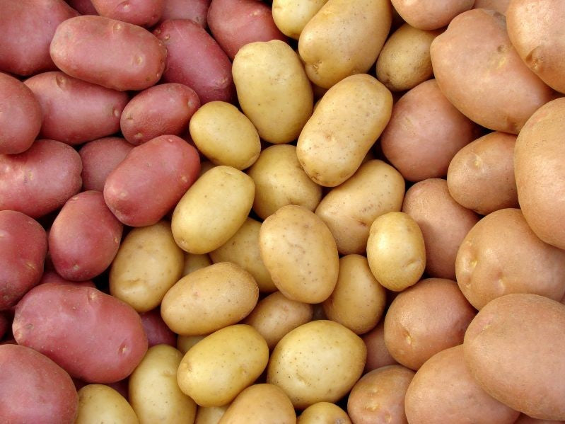 Potato, New Zealand Yam