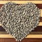 Bean Climbing, Blue Speckled Tepary - LifeForce Seeds