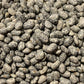Bean Climbing, Blue Speckled Tepary - LifeForce Seeds