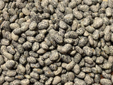 Bean Climbing, Blue Speckled Tepary - LifeForce Seeds