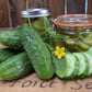 Cucumber, Boston Pickling