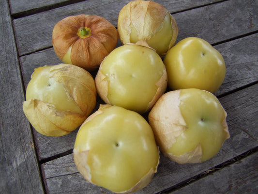 Tomatillo Yellow - LifeForce Seeds