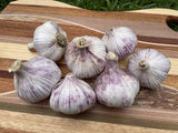 Garlic Italian Purple (2 Bulbs) - LifeForce Seeds