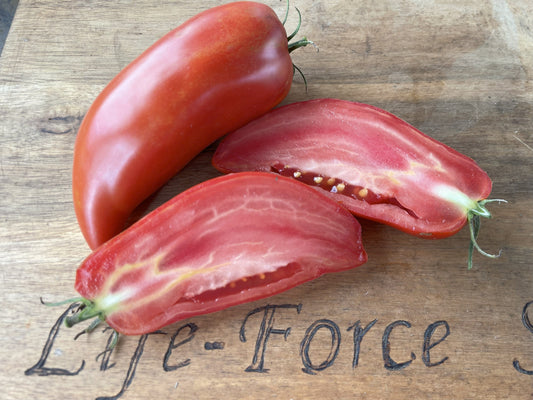 Tomato, Ram's Horn - LifeForce Seeds