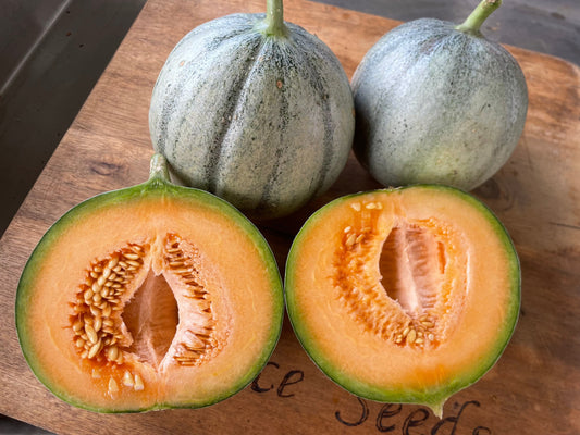 Rockmelon, French Charentais