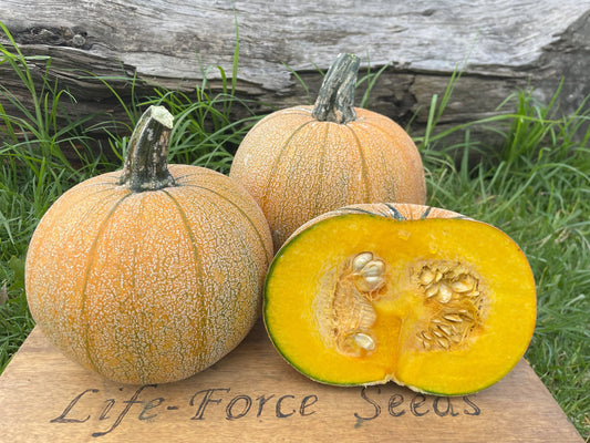 Pumpkin, Winter Luxury - LifeForce Seeds