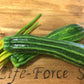 Zucchini,  Costata Romanesco - LifeForce Seeds