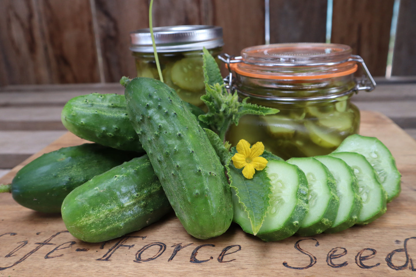 Cucumber, Boston Pickling - LifeForce Seeds