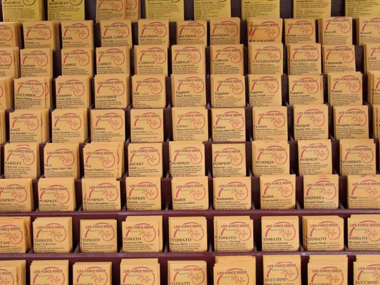 Calendula, Pacific Beauty Mix - LifeForce Seeds