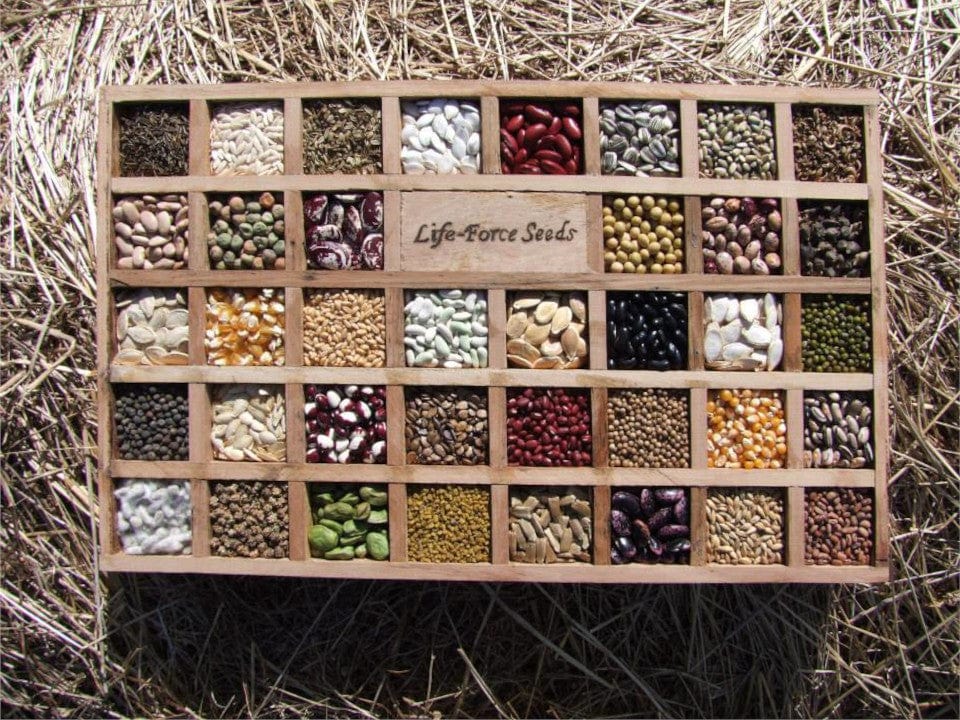 Premium Heirloom vegetable seeds available online for Australian gardeners