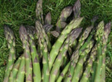 Asparagus Connover’s Colossal - LifeForce Seeds