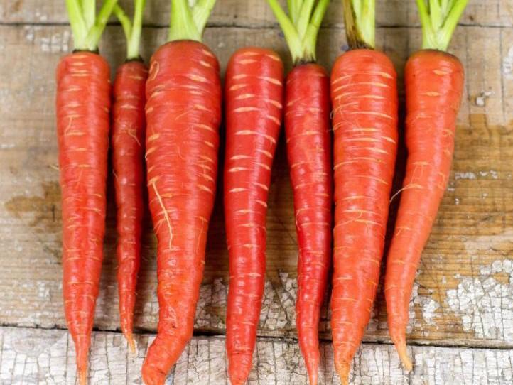 Carrot, Atomic Red - LifeForce Seeds