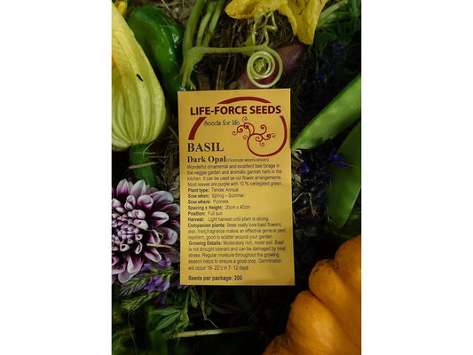 Basil Dark Opal - LifeForce Seeds