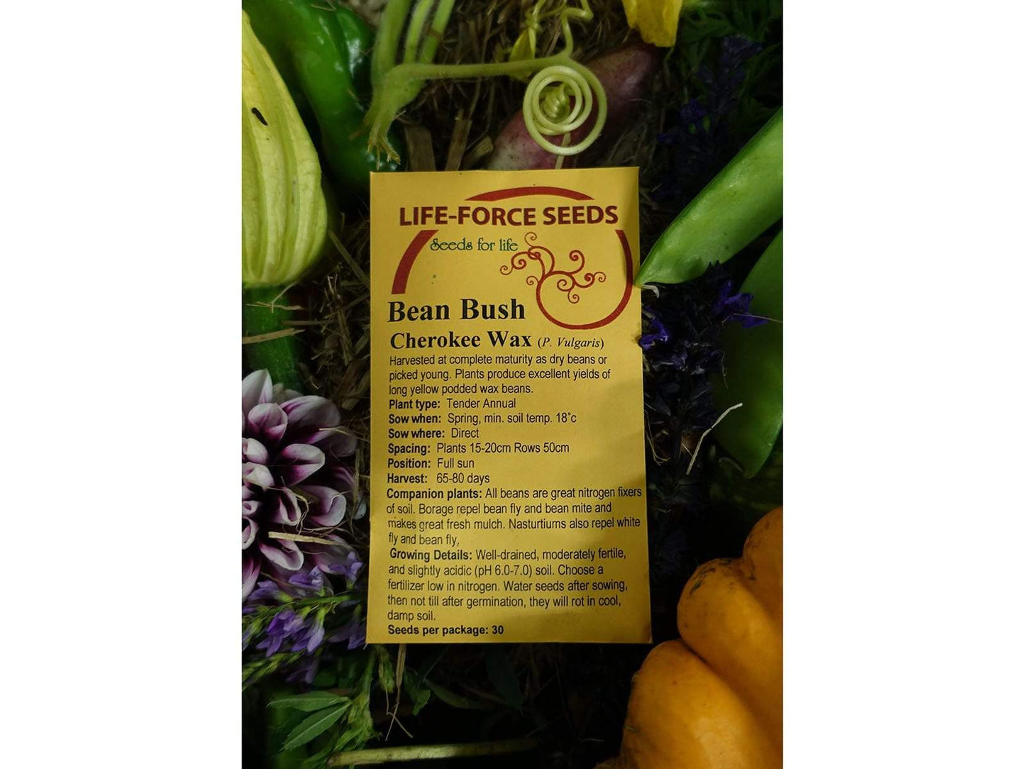 Bean Bush Cherokee Wax - LifeForce Seeds