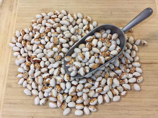 Bean Climbing, Hidatsa Shield - LifeForce Seeds