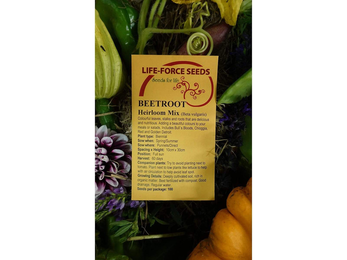 Beetroot Heirloom Mix - LifeForce Seeds